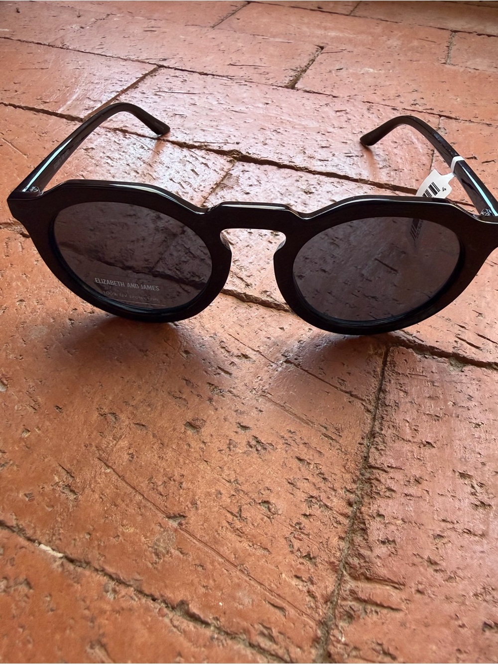 NWT Elizabeth and James Black Round Frame Sunglasses